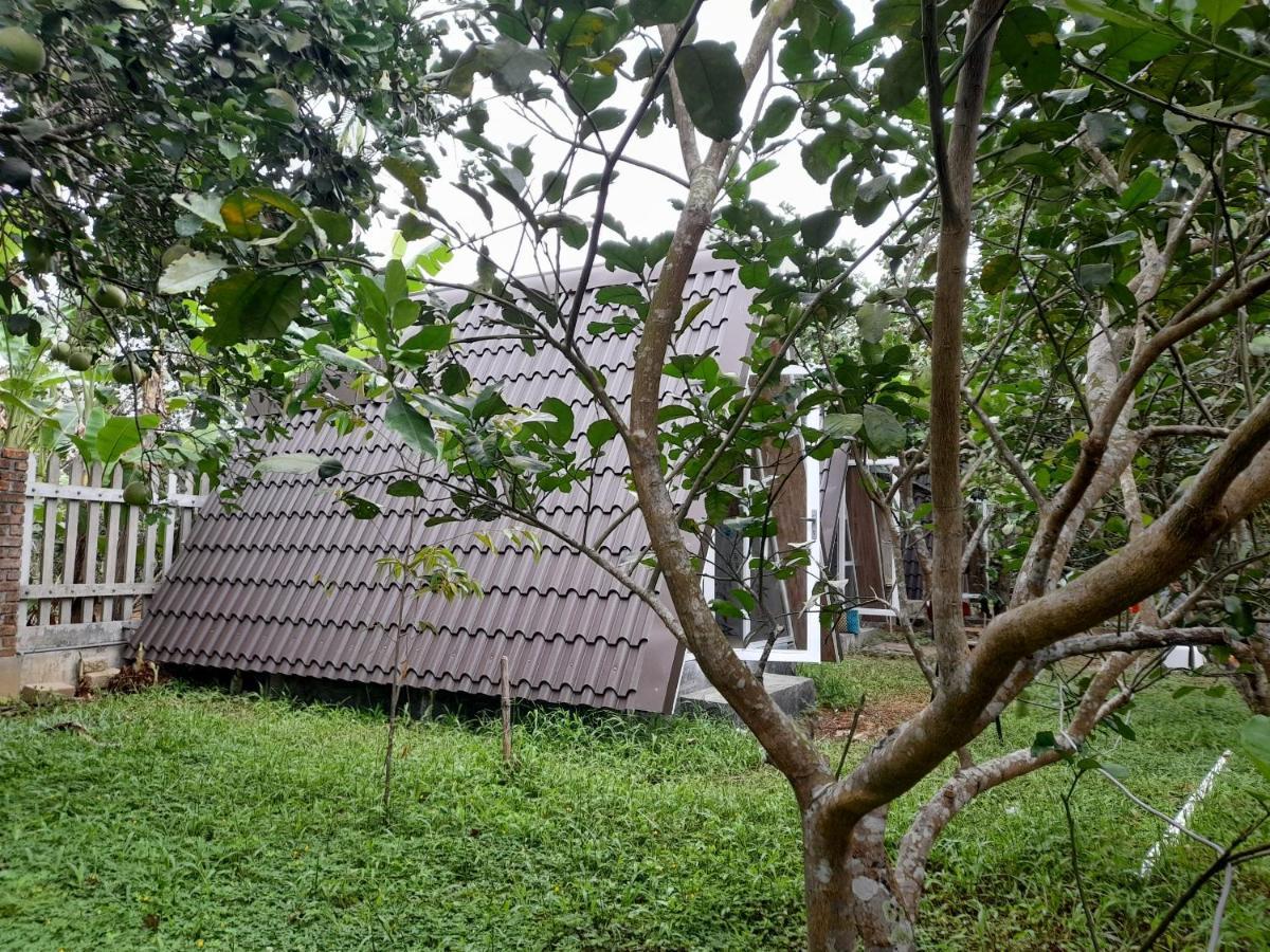 Tam Tinh Vien Homestay Hue Exterior photo